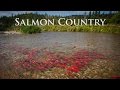 Alaska salmon country  sockeye city