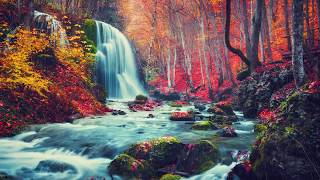 Beautiful Relaxing Piano Music, Instrumental Music, Rain sounds 'Autumn Rain' by Tim Janis