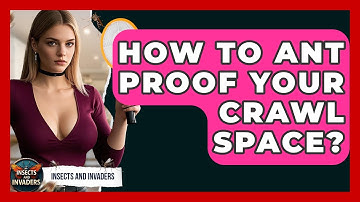 How To Ant Proof Your Crawl Space? - Insects and Invaders