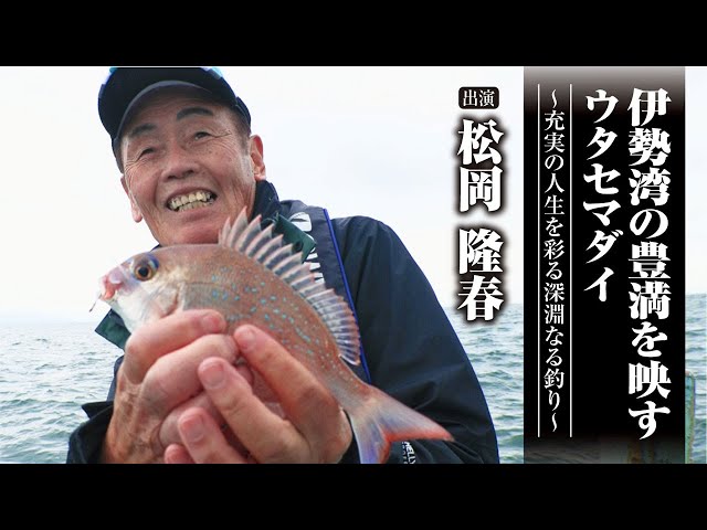 519 Utase Madai reflecting the abundance of Ise Bay ~ Fishing in