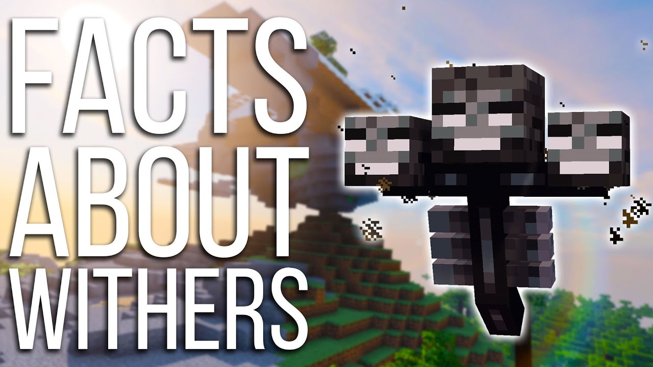 8 Secrets About The Wither You Didn'T Know! (Minecraft)