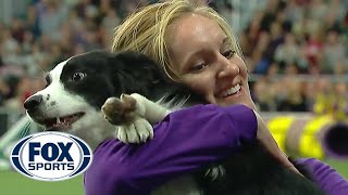 P!nk the border collie wins back to back titles at the 2019 WKC Masters Agility   FOX SPORTS