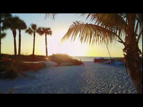 Tropical Beach Resorts Siesta Key Beachside Hotel