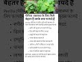 पेरीला स्वास्थ्य के लिए कैसे बेहतर है उसके क्या फायदे हैं #healthyeating #healthawareness