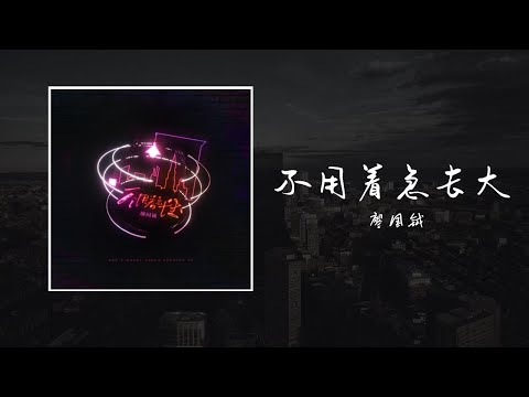 不用著急長大-廖國鉞「他聽見，十二歲的生日夜，他對自己許的願，他看見，風箏飄過了童年，在他手裡斷了線」【歌詞】