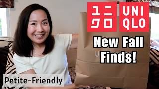 Details Uniqlo Haul & (Petite!) Try-on | Comfortable Basics for Fall News