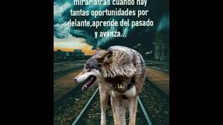 Chaparrita consentida pepe aguilar