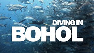 Free diving in Bohol: Balicasag Island, Pamilacan Island & Napaling Reef