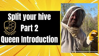 Splitting your hive | Part 2 | Queen Introduction