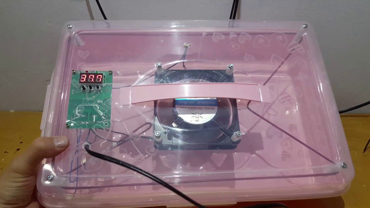 DIY Kuluçka Makinesi Seti Kendin Yap İLGİNÇ MAKİNE