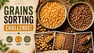 🌽🫘 Corn & Bean Sorting ASMR | The Most Satisfying Grain Sorting Ever!