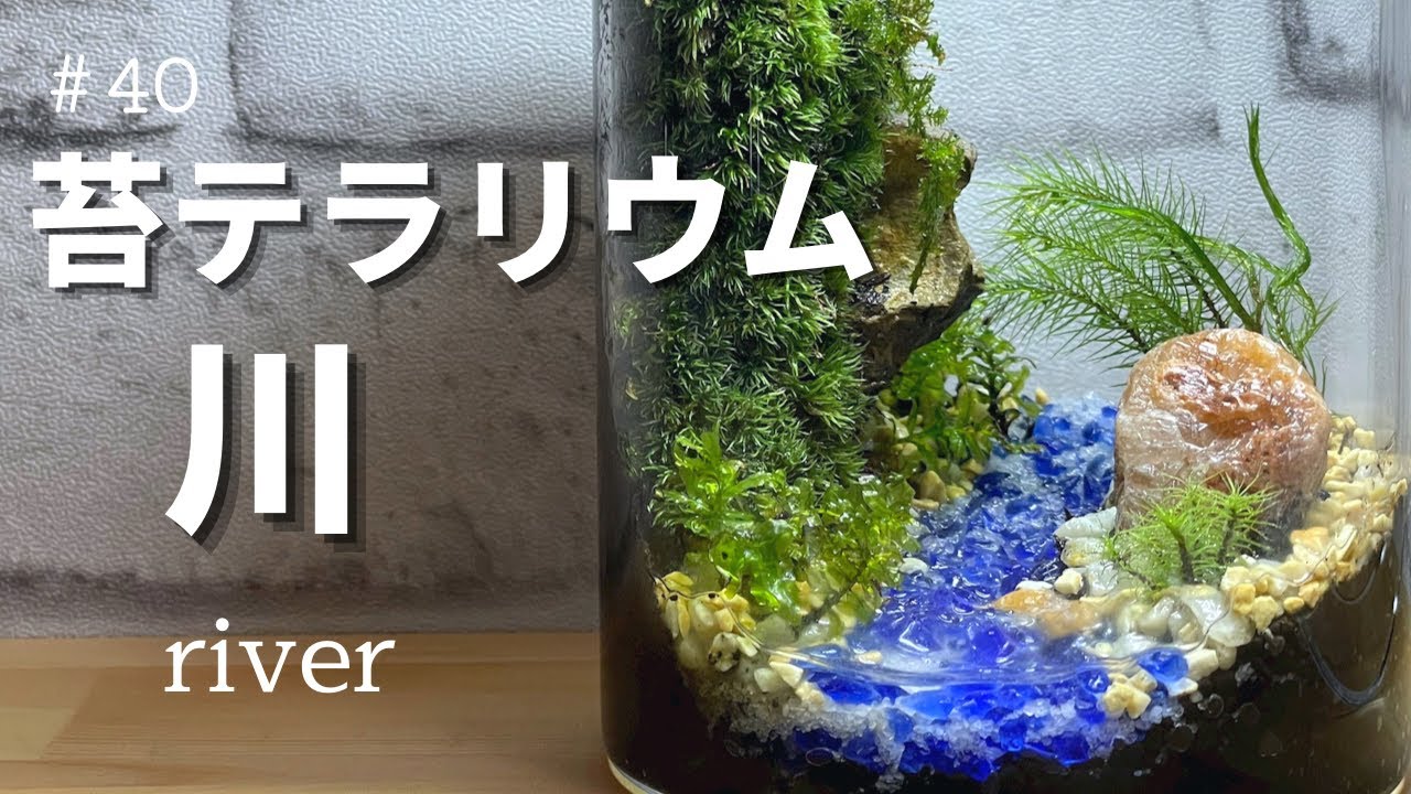 moss terrarium】川のある情景 苔壁で立体感を出す–苔テラリウムの
