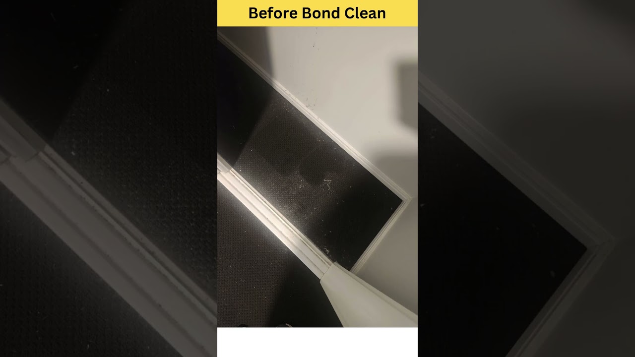 Before vs After Carpet Cleaning | End of Lease Carpet Cleaning Magic | ECO Bond Cleaning Brisbane