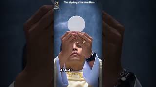 The Moment Every Catholic Must Understand at Holy Mass. #holymass #shorts