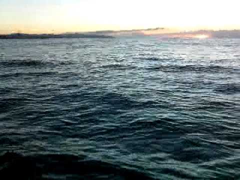 25/09/2010 Pesca al amanecer