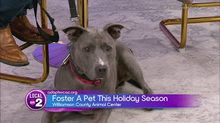 Bart Durham's Big Giveback: Williamson County Animal Center