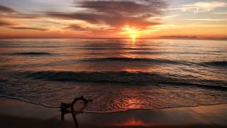 Netsky - Memory Lane (Extan Cover)