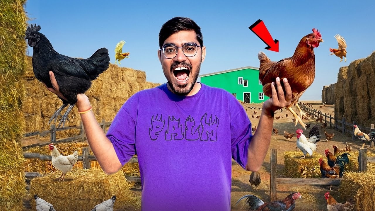 Crazy Xyz New Videos:✅🔥 Hidden Chicken Challenge 😈 Winner Gets ₹2 Lakh