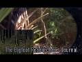 Tracking Giants: Things To Watch For | Using Maps To Catch The Ghost On Camera