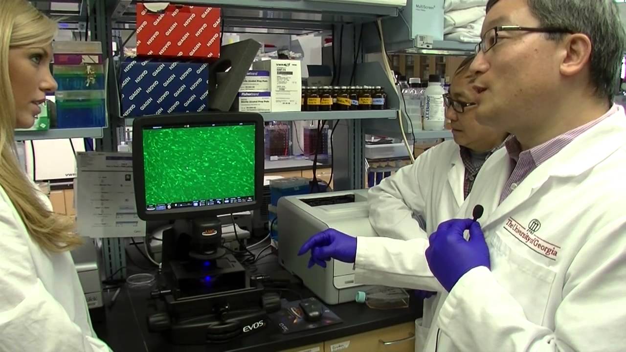 UGA researchers working on rabies cure