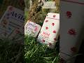 NEW Wild Emma Bridgewater Ladybird Case & Refill & 20% Iff KKRRc321 @wearewild.com #new