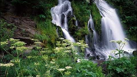 سورة الزلزلة بصوت القارئ زكرياء فائد