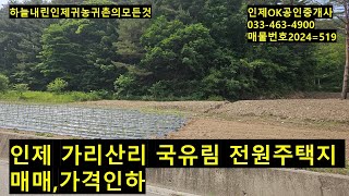 인제 가리산리 국유림,전원주택지 매매