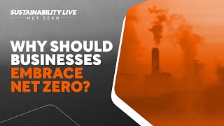 The Importance of Businesses Embracing Net Zero