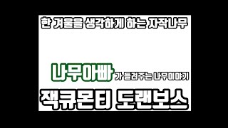 새하얀 수피가 인상적인 잭큐몬티 도랜보스 자작나무 /Daelim Nursery (Jacquemontii Doorenbos,Betula Jacquemontii)