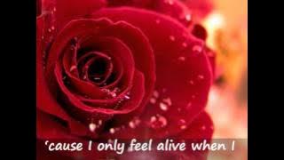 Marc Anthony - When I Dream At Night & Lyrics