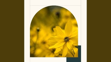 High Class Backdrops for Winter Mode