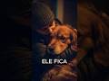 O amor mais puro não fala...sente.🐶#shorts #viral #emotional