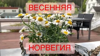 ВЕСЕННЯЯ НОРВЕГИЯ. ДОРОГА В РЁДБЕРГ.