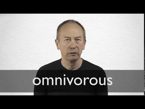 How to pronounce OMNIVOROUS in British English