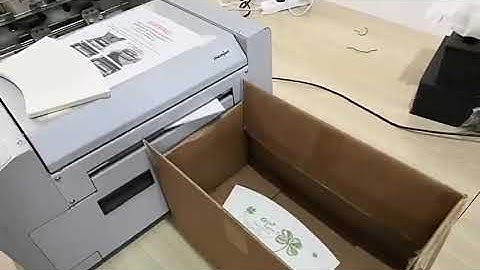 paper  cup fan printing machine