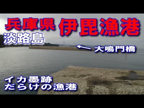 #91兵庫県淡路島伊毘漁港いびぎょこう兵庫県南あわじ市阿那賀イカ墨跡多数遠くに大鳴門橋が見えますイカ墨跡だらけの波止漁港内側赤波止のイカ墨跡淡路島南IC神戸淡路鳴門自動車道高速道路