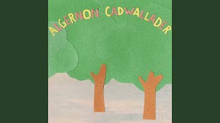 Video thumbnail of "Algernon Cadwallader - Serial Killer Status"