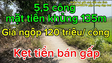 Kẹt tiền bán gấp, 5,5 công 120 triệu/ công, Long Mỹ hậu Giang