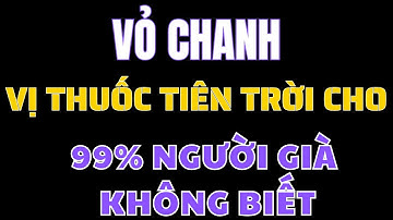 6 Công Dụng Thầm Lặng Của Vỏ Chanh – Bác Sĩ Cũng Phải Kinh Ngạc
