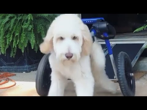 Βίντεο: Μπορεί να χυθεί σκυρόδεμα ενάντια στο αλουμίνιο;