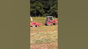 IH 986 Chopping 2nd crop