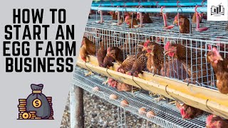 How to Start an Egg Farm Business | Starting an Egg Layer Poultry Farm \& Selling Eggs