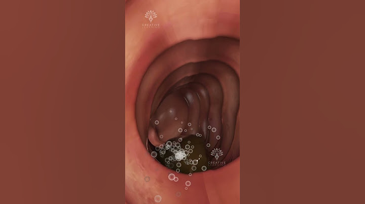How Your Body Turns Food Into Poop: The Digestive Journey #shorts #viralvideo - creativelearning3d