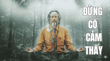 Tại Sao Cố Gắng "Cảm Thấy" Hạnh Phúc Lại Khiến Bạn Trống Rỗng? | Alan Watts