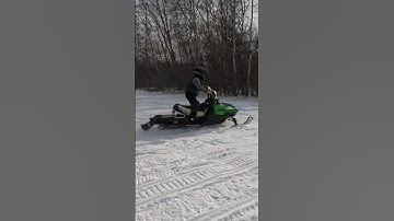 Snowmobile Fail crashes into small tree saplings.