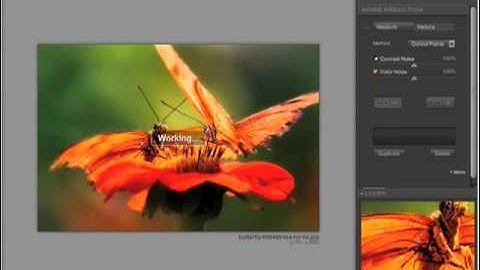 Nik Software original training -- Dfine Smart Filter Compatibility