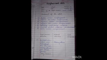 Microplan/Reinforcement Skill/B.ED