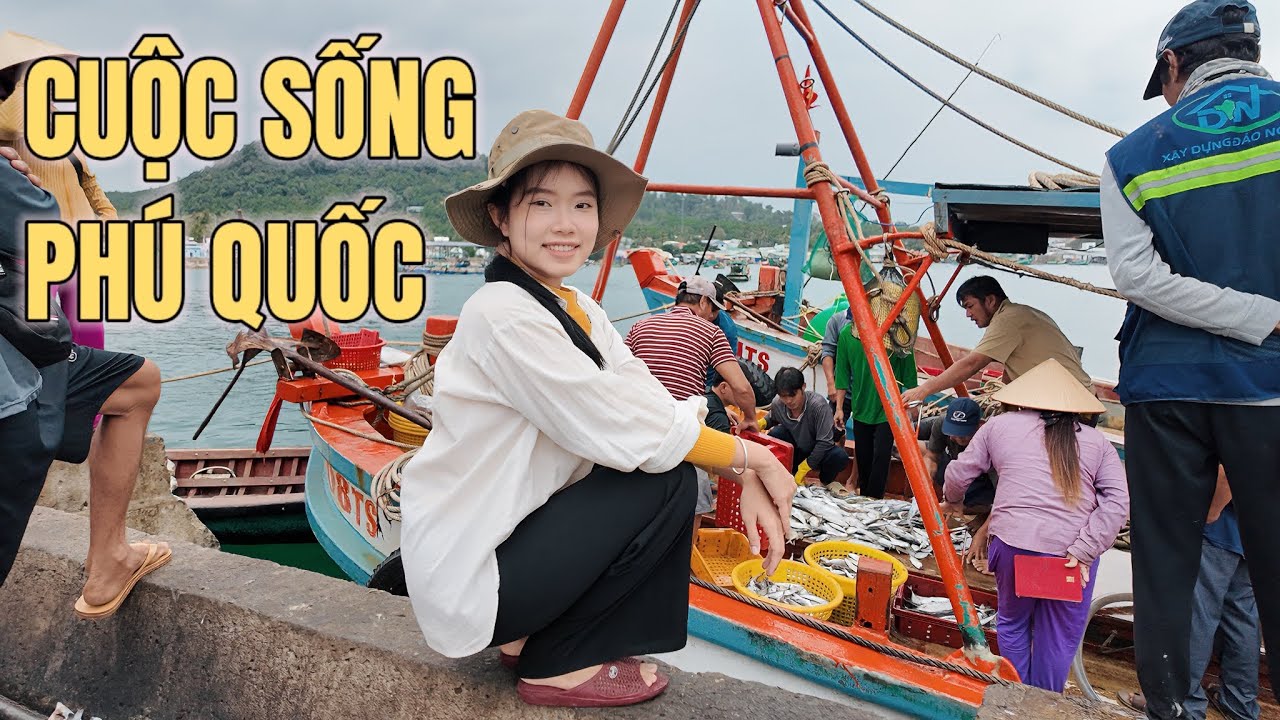 Trải nghiệm câu cá thú vị của người dân đảo Phú Quốc, khám phá nhịp sống cảng cá Gành Dầu