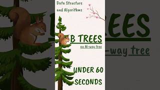 B tree in data structures #dsa #learning #coding #datastructures #learn #shorts #education #tips