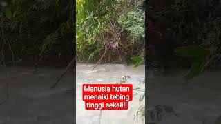 manusia hutan menaiki tebing